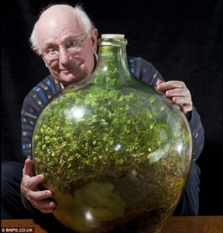 David Latimer and his bottle garden