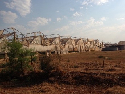 Degradation in polythene sheeting, seen in Zambia
