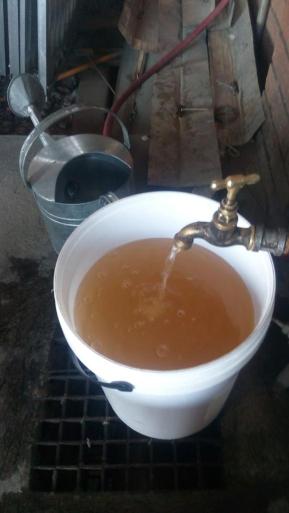 Tap filling a bucket with brownish water